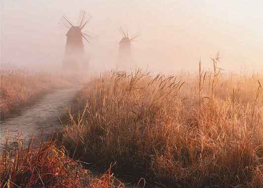 Morning mist | Wallpaper