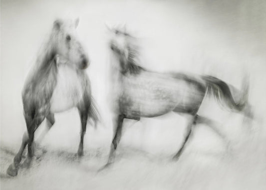 Shivers | Canvas