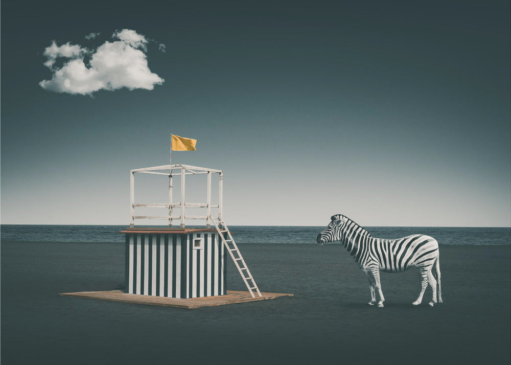 Zebra style | Poster