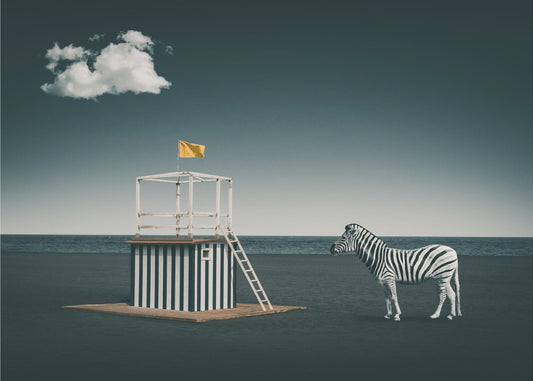 Zebra style | Poster