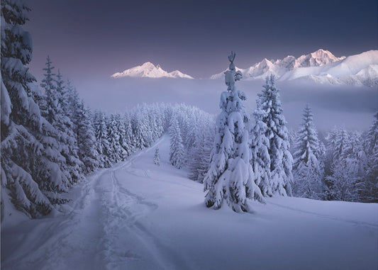 In the Winter | Wallpaper