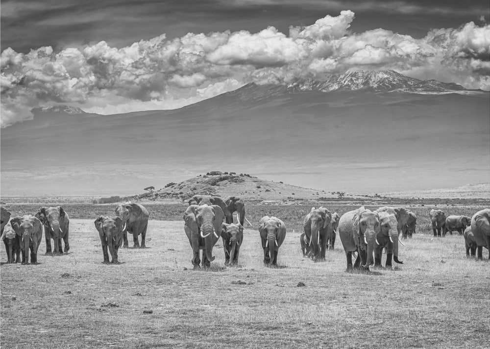 Les Titans | Papier Peint Photo