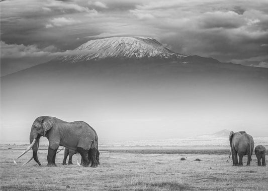 The land of giants | Wallpaper
