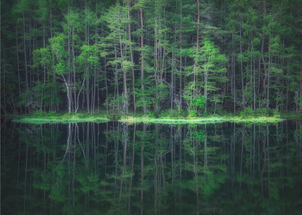 Green World | Wallpaper
