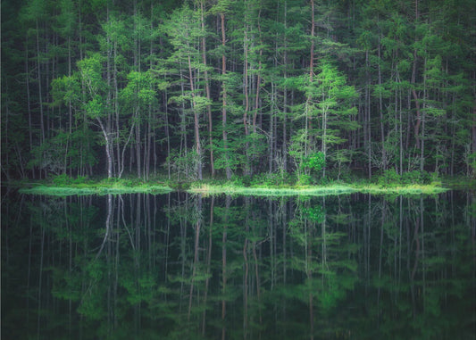 Green World | Wallpaper