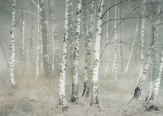 Morning silence | Wallpaper