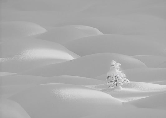Alone | Wallpaper