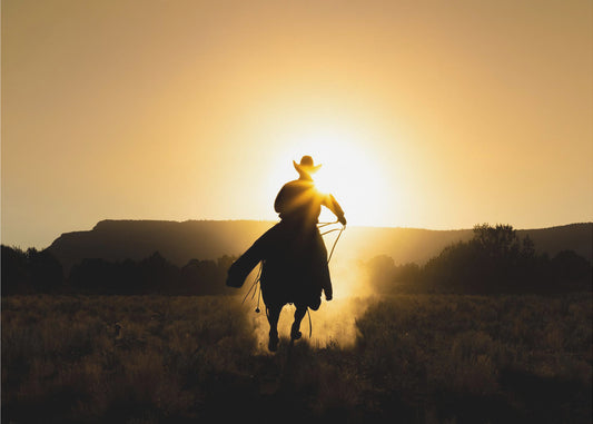 Cowboyen | Lerretsbilder