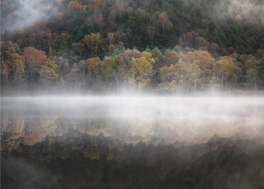 The mystical pond in the autumn | Wallpaper