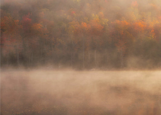 Peak of Fall | Wallpaper