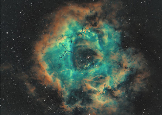 The Rosette | Wallpaper