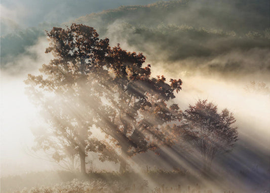 beam of light | Wallpaper