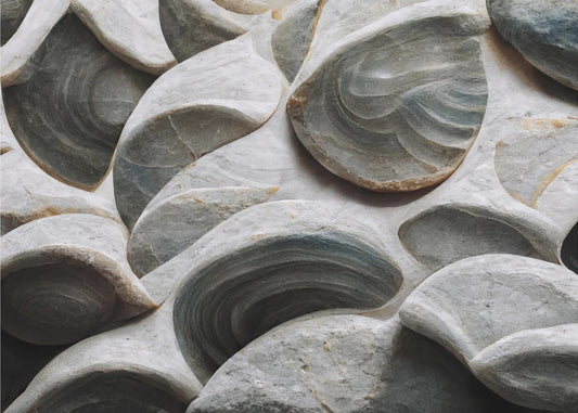 Sea Shells Detail No 5 | Wallpaper