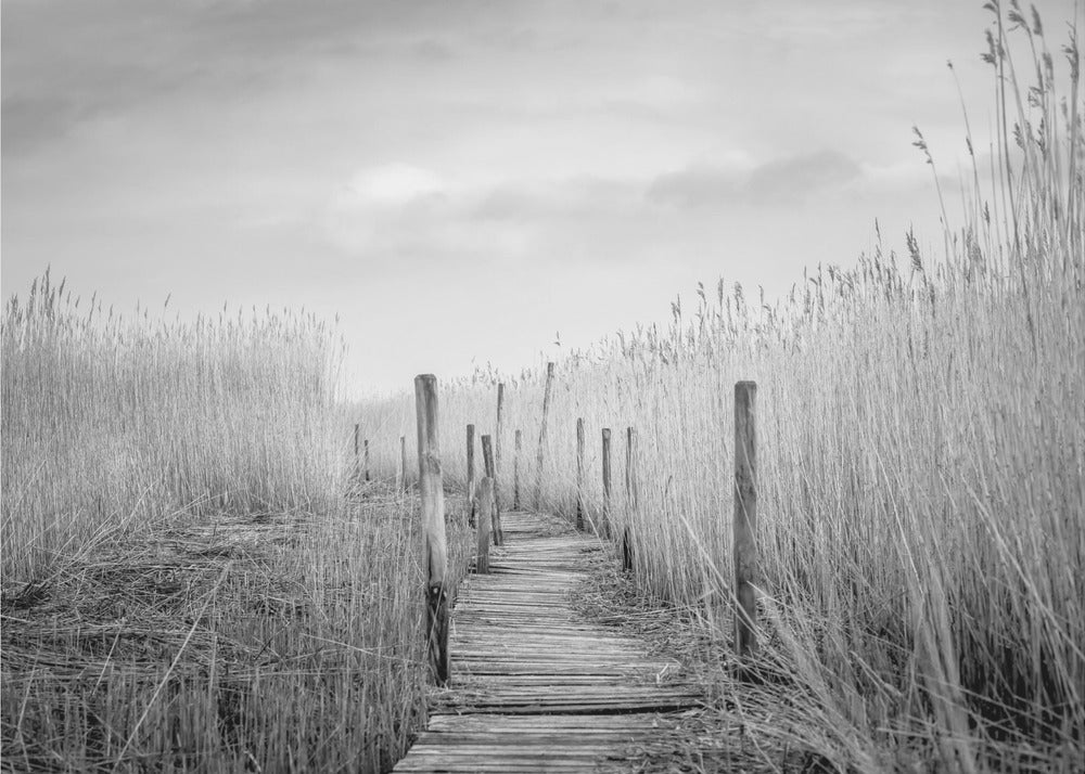 Die Bohlenbrücke | Fototapeten