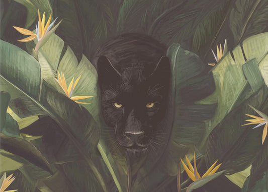 Hello Panther | Wallpaper