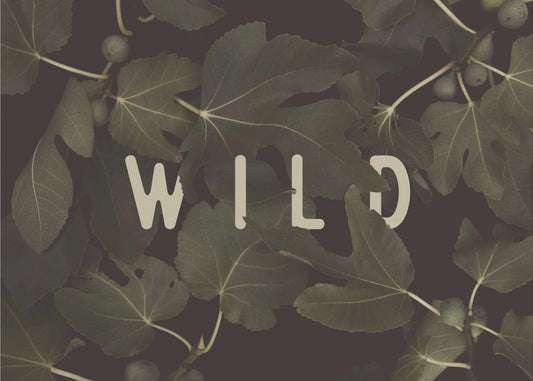 Wild Nº1 | Wallpaper