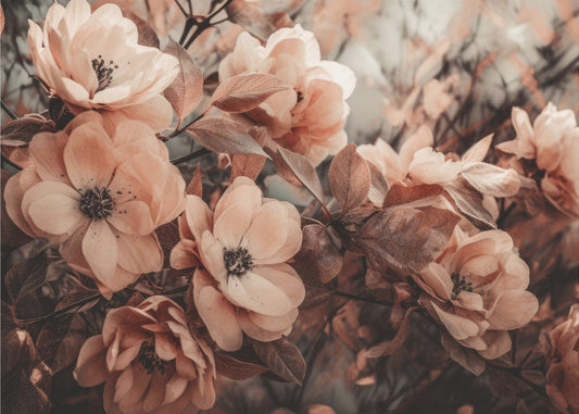 Coral Wild Peony | Wallpaper