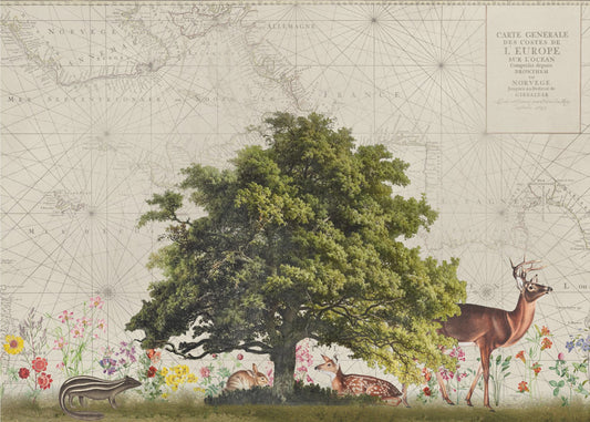 Nordic Woods No2 | Wallpaper