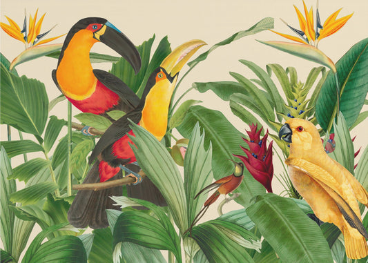 Rain Forest Bird Garden | Wallpaper