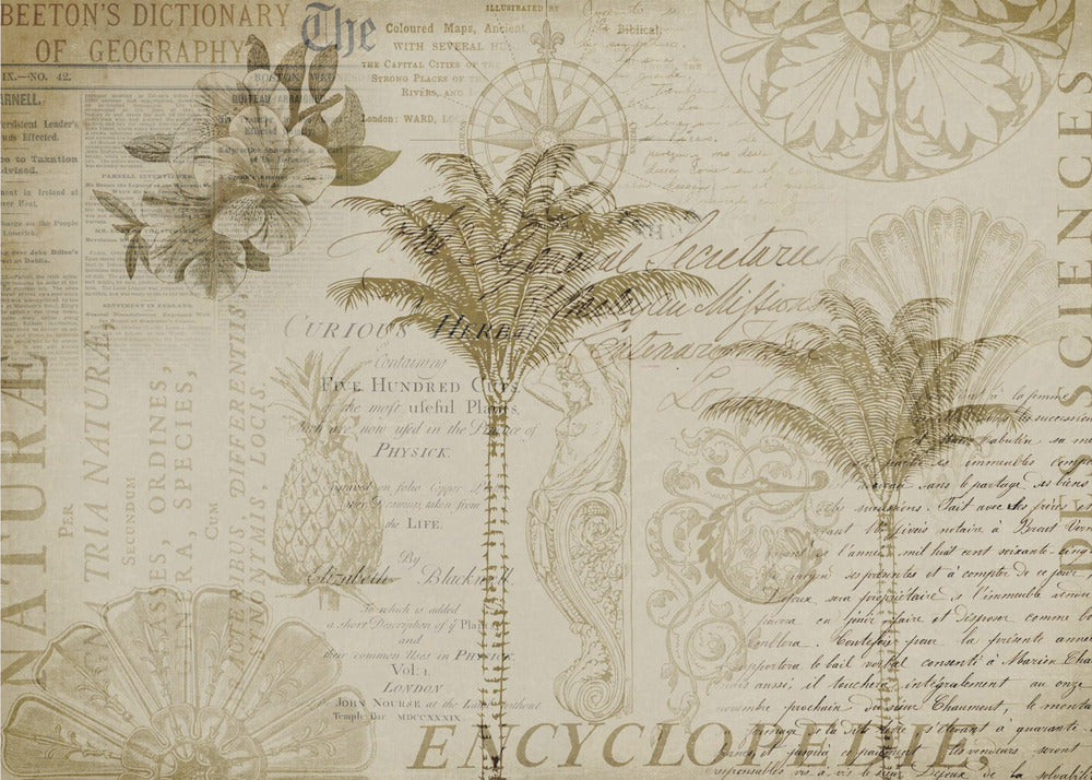 Tropical Encyclopedia | Wallpaper