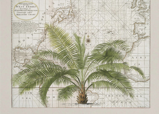 Tropical Empire No1 | Wallpaper