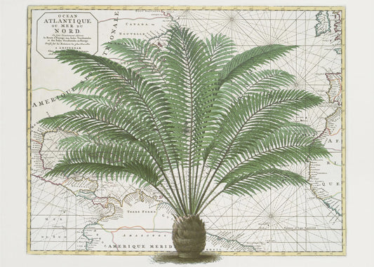 Tropical Empire No5 | Wallpaper