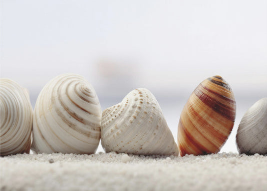 Beach Impressions No 23 | Wallpaper