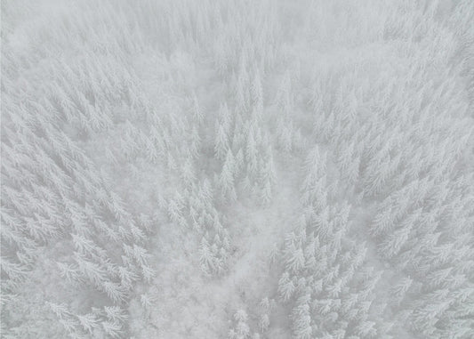 White out | Wallpaper