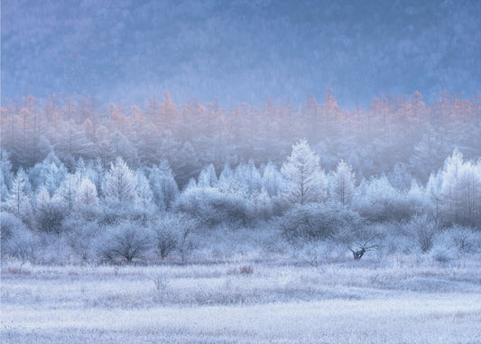 Autumn and Winter gradients | Wallpaper