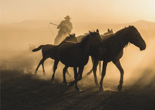 Run between horses | Canvas