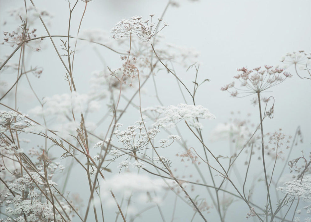 Summer Moments 12 | Canvas