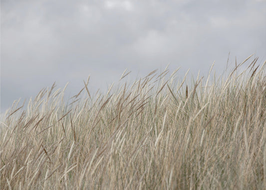 Dunes and Clouds | Wallpaper
