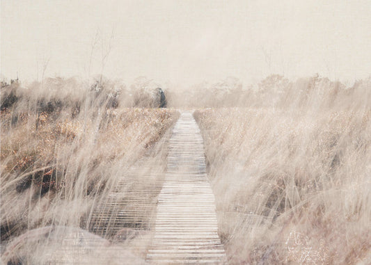 Dreamy landscape | Canvas