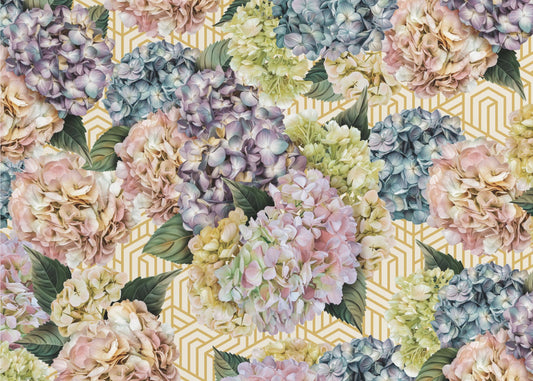 Hydrangeas_Gold Cream | Wallpaper