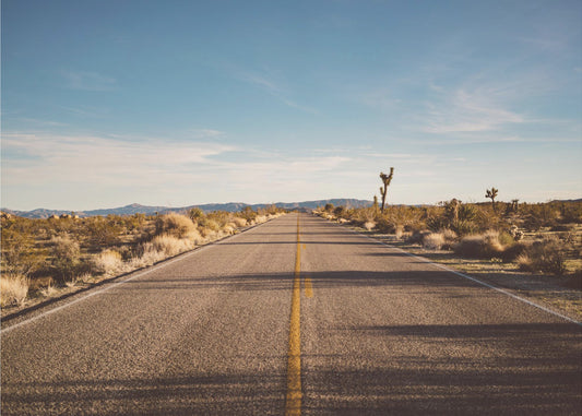 Route de Joshua Tree | Tableaux sur Toile