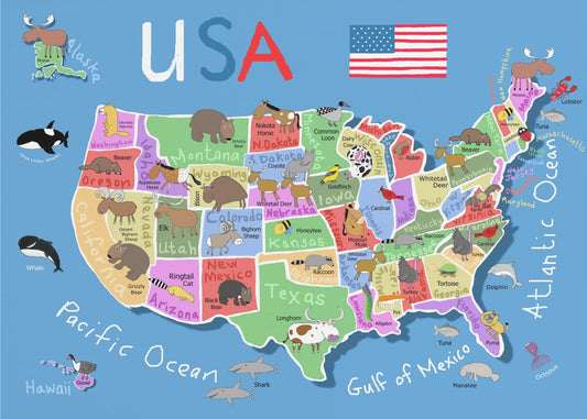 Illustrated Map of United States of America by Carla Daly | Canvas