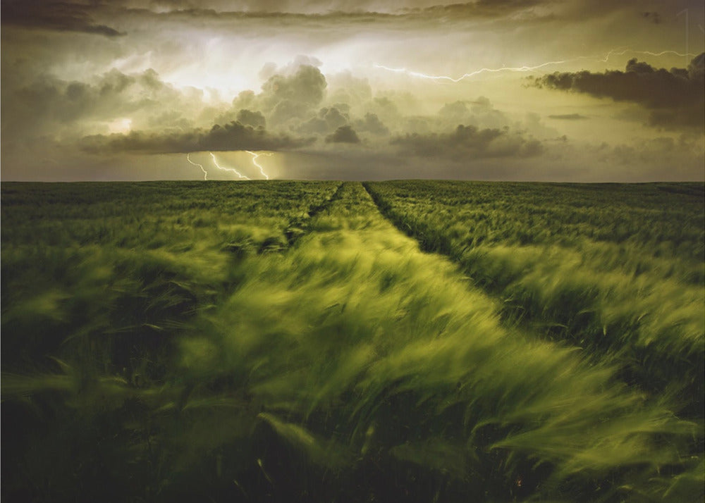 Rejsen til den voldsomme storm | Fototapeter