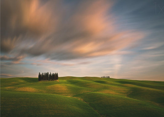 Fields... | Poster