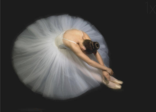 Elegance | Poster