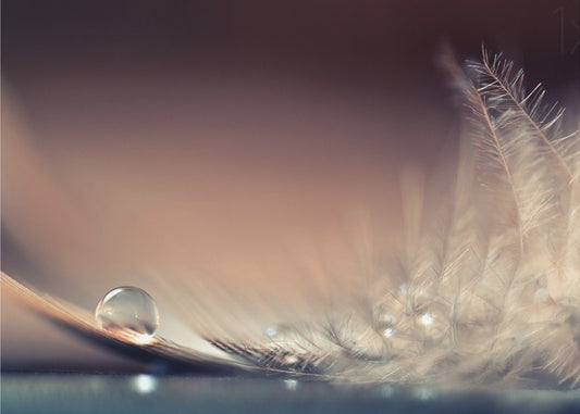 Stories of Drops | Poster