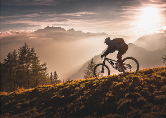 Golden hour biking | Poster