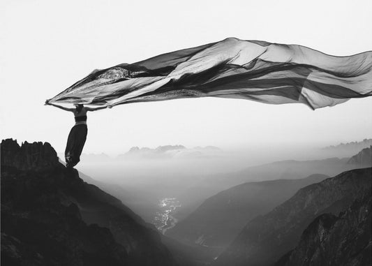 Free as the wind | Poster