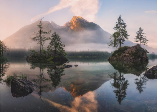 Nature's Awakening | Wallpaper