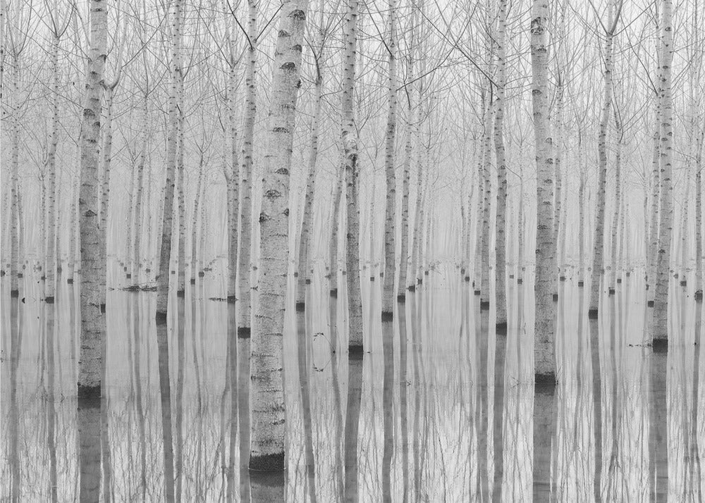 Novembre 2014 | Carta da Parati Fotografica