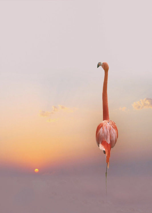 sunset ... | Poster