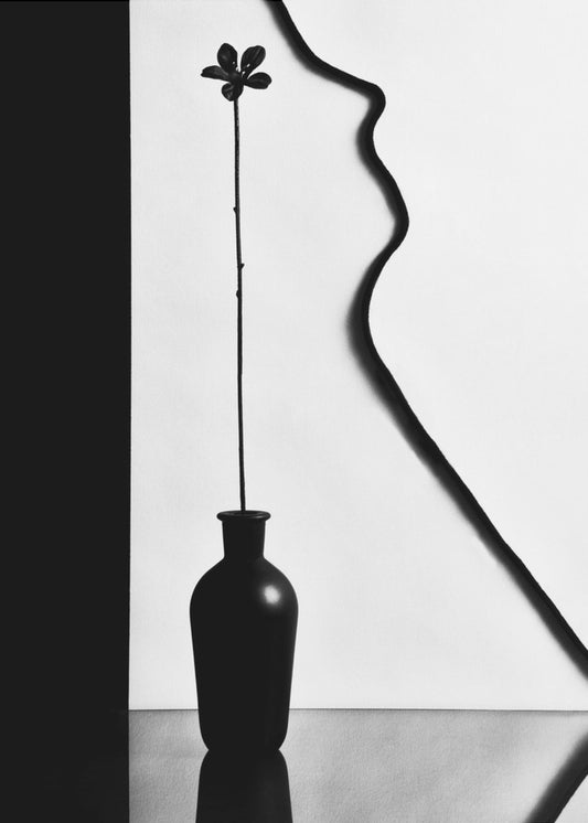 Untitled | Canvas