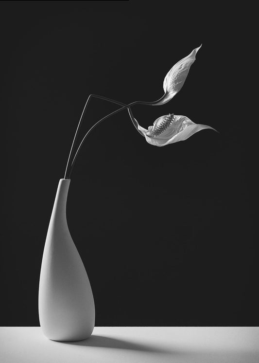 Passionately | Canvas