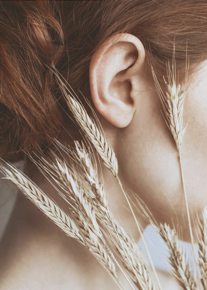 Rye | Canvas