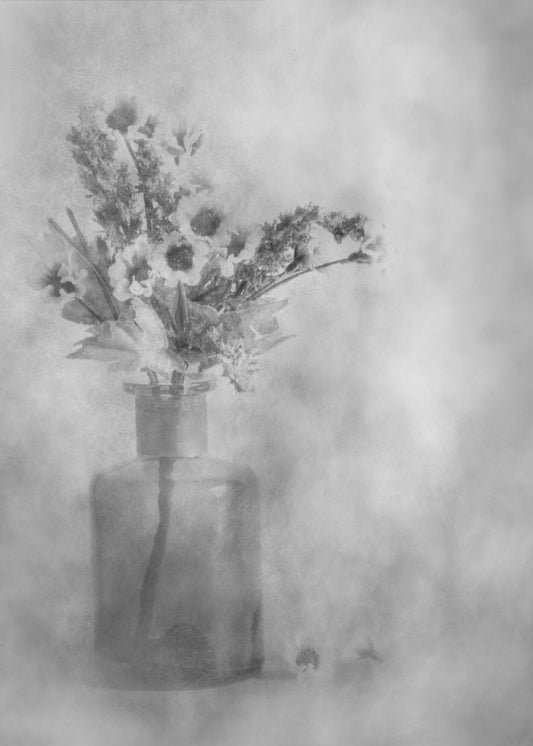 Vervaagd | Canvasprints