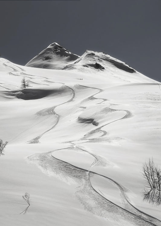freeride | Canvas